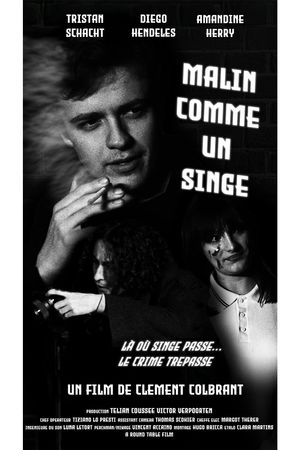 Malin comme un singe's poster