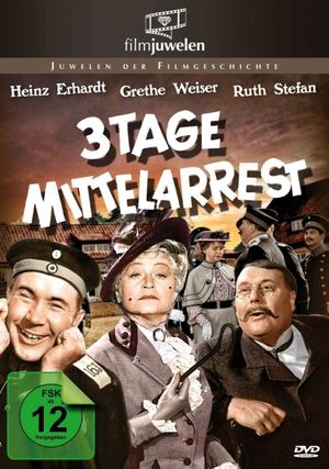 Drei Tage Mittelarrest's poster