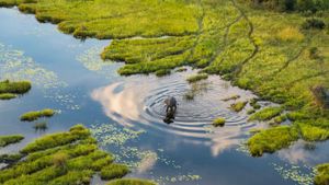 Okavango: A Flood of Life's poster