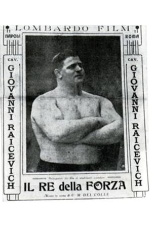 L'uomo della foresta's poster