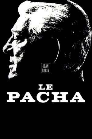 Pasha's poster