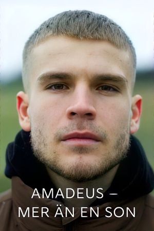 Amadeus - more than a son's poster