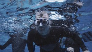 The Reef's poster