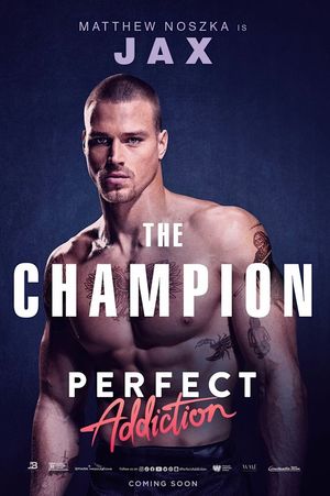 Perfect Addiction's poster
