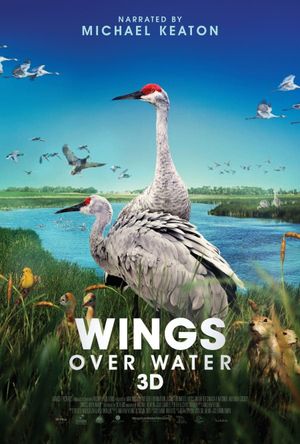 Wings Over Water's poster