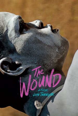 The Wound's poster