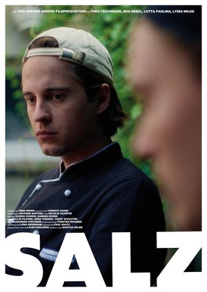 SALZ's poster