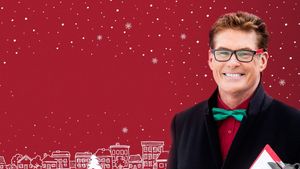 The Christmas Consultant's poster