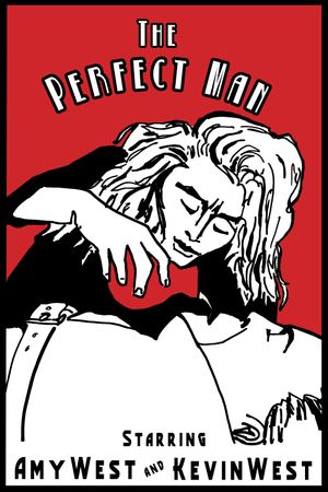 The Perfect Man's poster