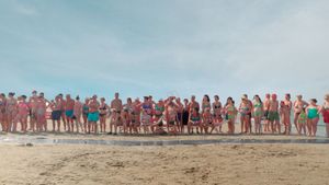 Normal's poster