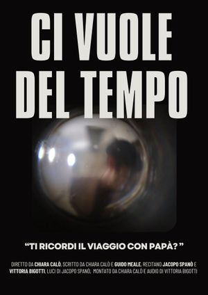 Ci vuole del tempo's poster