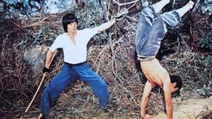 Mad Monkey Kung Fu's poster