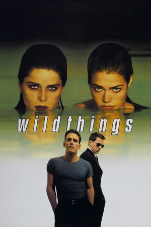 Wild Things's poster