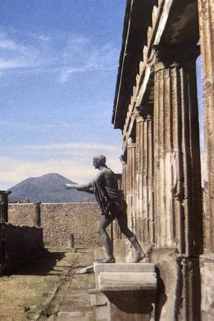 CACTUS EN ITALIE's poster