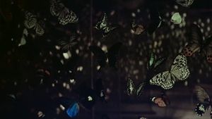 The Butterfly Murders's poster