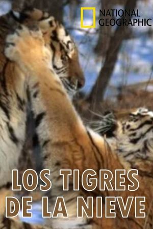 Los tigres de la nieve's poster