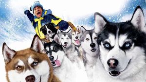 Snow Dogs's poster
