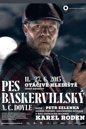 Pes baskervillský's poster