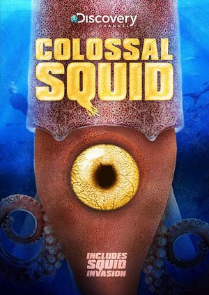 Colossal Squid's poster