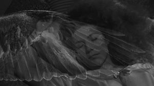 Wings of Desire's poster