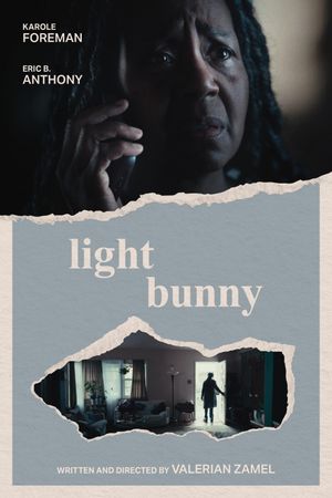 Light Bunny's poster