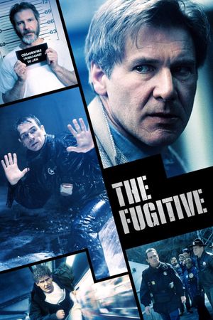 The Fugitive's poster