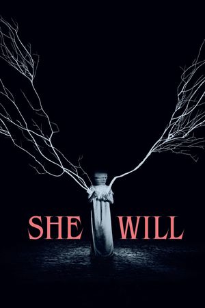 She Will's poster