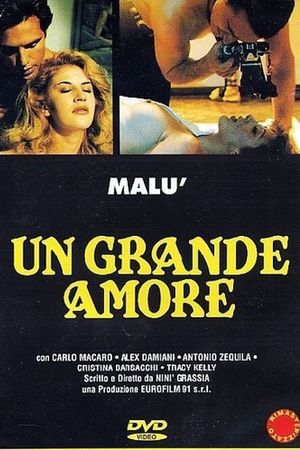 Un grande amore's poster