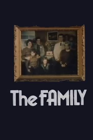 The Family's poster