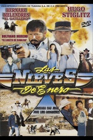 Las nieves de enero's poster image