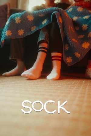 Sock's poster