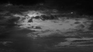 Rumble Fish's poster