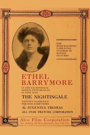 The Nightingale's poster image