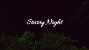 Starry Night's poster