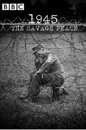 1945: The Savage Peace's poster