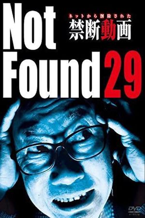 Not Found 29's poster