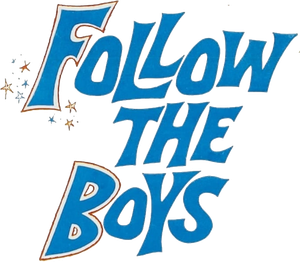 Follow the Boys's poster