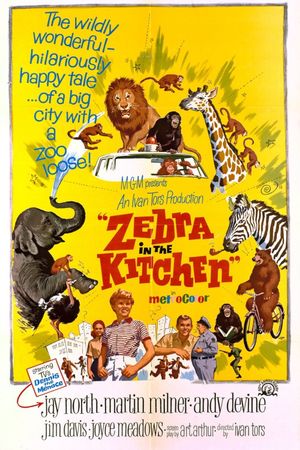 Zebra in the Kitchen's poster