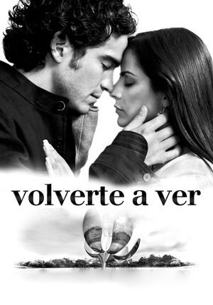 Volverte a ver's poster