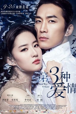 The Third Way of Love's poster