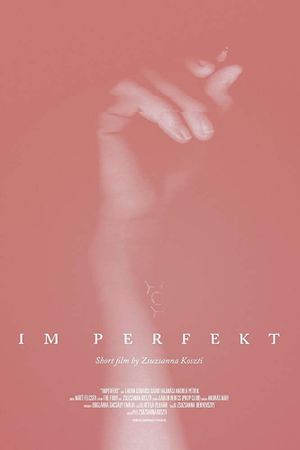 IM Perfekt's poster