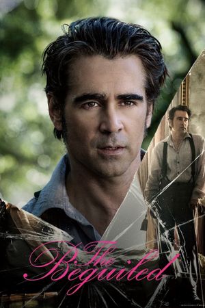 The Beguiled's poster