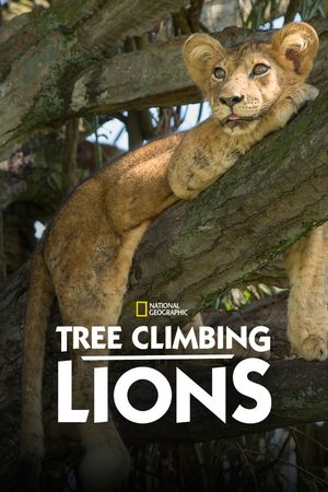 Tree Climbing Lions's poster