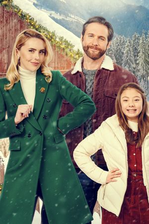 Christmas on the Alpaca Farm's poster