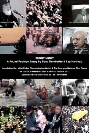 Sunny Night's poster