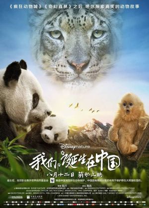 Born in China's poster