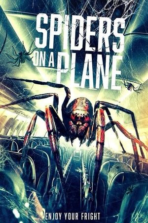 Spiders on a Plane's poster