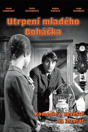 Young Bohácek's Sufferings's poster