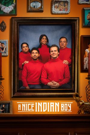 A Nice Indian Boy's poster