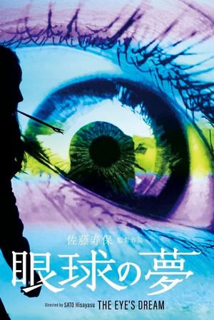 The Eye's Dream's poster image